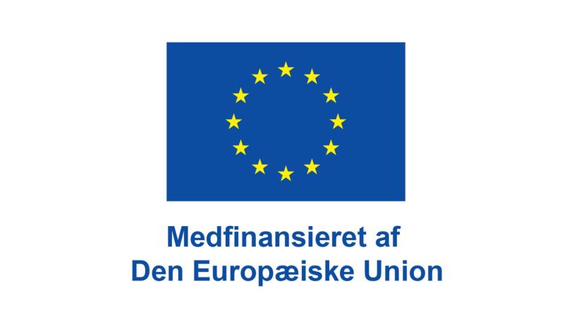 Projekter medfinansieret af Den Europæiske Union