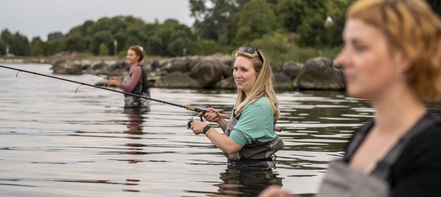 Lystfiskeri på Ærø